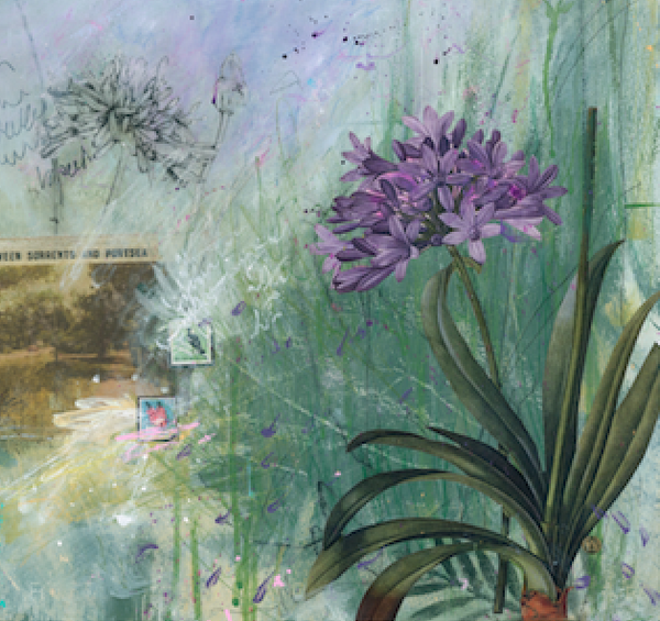 'Summer evening Sorrento  walks' Wall Print - The Block Collection